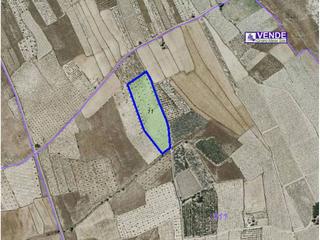 Finca rústica a 11 11. Terreno en venta en salinas