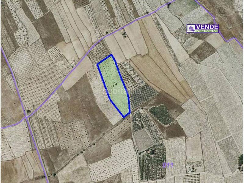 Foto c044605c-5364-420d-b133-c841768f841a. Finca rústica a 11 11 a Salinas