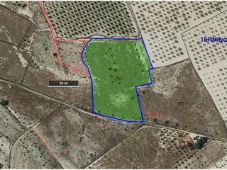 Finca rústica  6. Terreno en venta en salinas