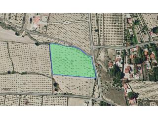 Finca rústica a Salinas. Terreno en venta en salinas