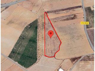 Finca rústica  37. Terreno en venta en paraje mañán