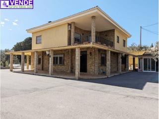 Masia  2. Espectacular chalet en sax alicante
