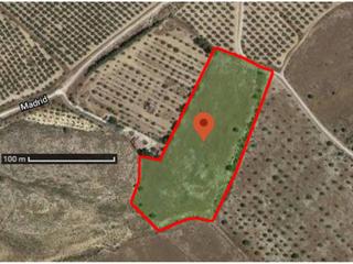 Terreny residencial  1. Terreno en venta en sax
