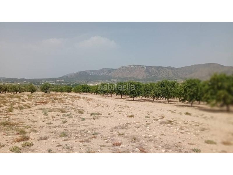 Foto 71be9e4a-8acc-41ab-a40c-5f1629a8a3ad. Finca rústica a Salinas