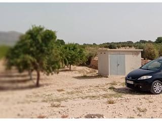 Finca rústica  2. Finca de regadío con almendros en salinas.