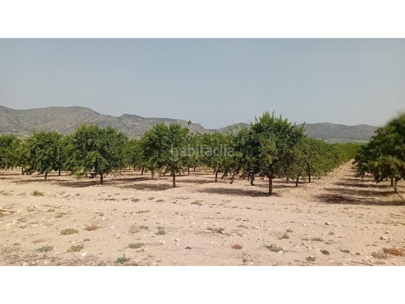 Foto e52ea167-b727-482e-9a81-c280547c17ca. Finca rústica a Salinas