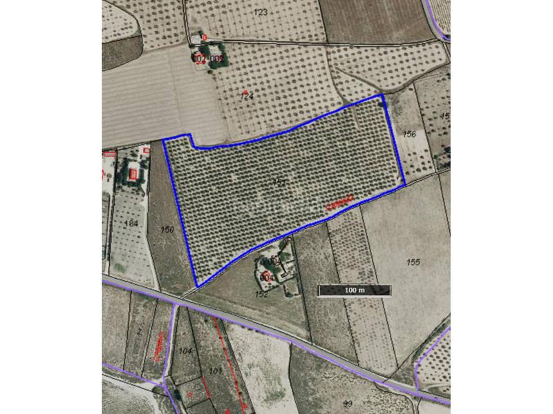 Foto f9e918c9-40dc-44fe-abf2-9d47a4fce38b. Finca rústica a Salinas