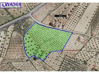 Terrain résidentiel  29. Terreno edificable en paraje ciscar en sax