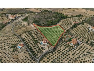 Landgut  Poligono 1. Parcela edificable con olivos en producción en peñarubia, sax!