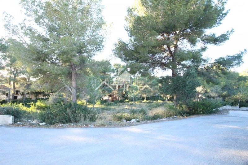 Foto de05534c-c90a-4336-a118-217933c1dbe0. Terrain résidentiel dans Portichol-Balcón al Mar Xàbia