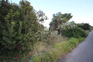 Terrain résidentiel à La Granadella - Costa Nova. Terreno urbano de casi 2000 m2, con superficie bastante plana y