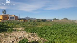 Terreny residencial a Daimús. Una oportunidad única para construir tu hogar ideal cerca del ma