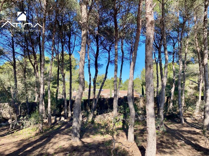 Foto 7e9fb8f5-6d31-452a-b655-17a27d0b0af7. Chalet la plana tu rincón privado junto al cabo más emblemático de jávea en Xàbia