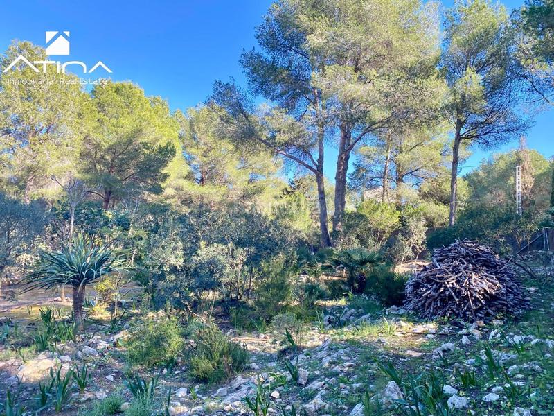 Foto bed43ced-df24-4e80-bc08-4ab0123f8303. Chalet la plana tu rincón privado junto al cabo más emblemático de jávea en Xàbia