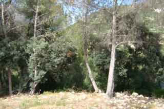 Terreny residencial a Alcalalí
