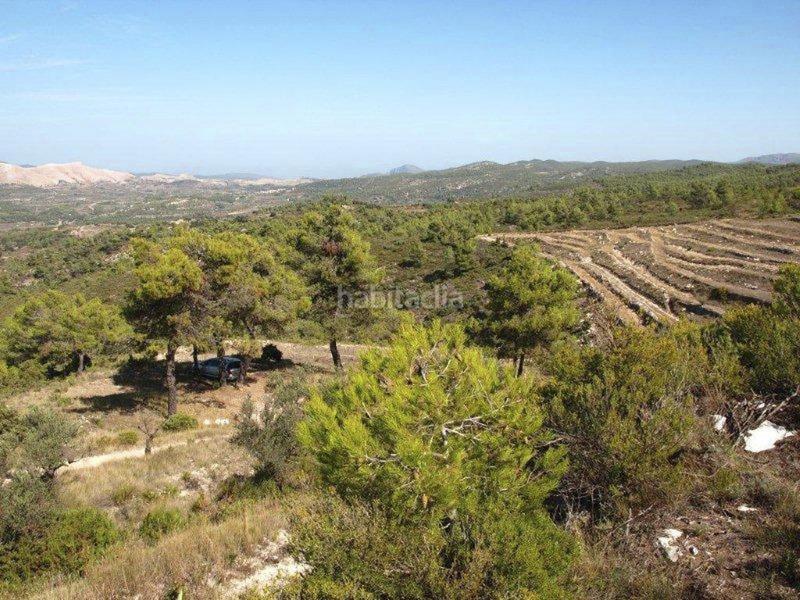 Foto a1dc04a2-6db8-449d-b557-1c2c8283c151. Terreny residencial a Vall d´Alcalà (la)