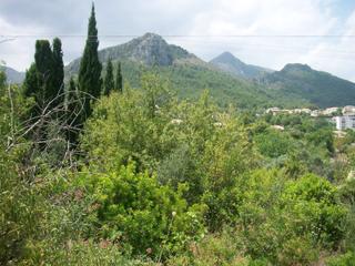 Terreny residencial a Orba