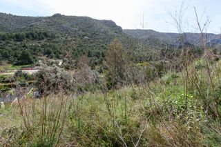 Residential Plot in Monte Solana