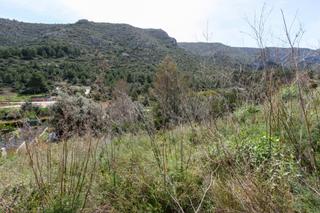 Terreno residenziale in Pedreguer