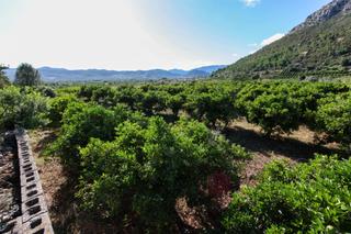 Residential Plot in Sagra