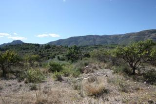 Residential Plot in Murla