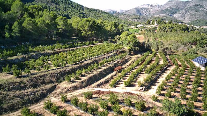 Foto 1aa1b8ce-d9d1-4982-a75a-bf12de9b0ef6. Terreny residencial a Calles