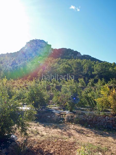 Foto 3de00f67-4b6a-43b0-9446-4eef5f649450. Terreny residencial a Calles