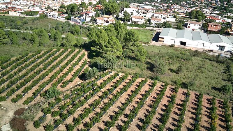 Foto a202c293-2016-4720-9330-036540762b2c. Terreny residencial a Calles