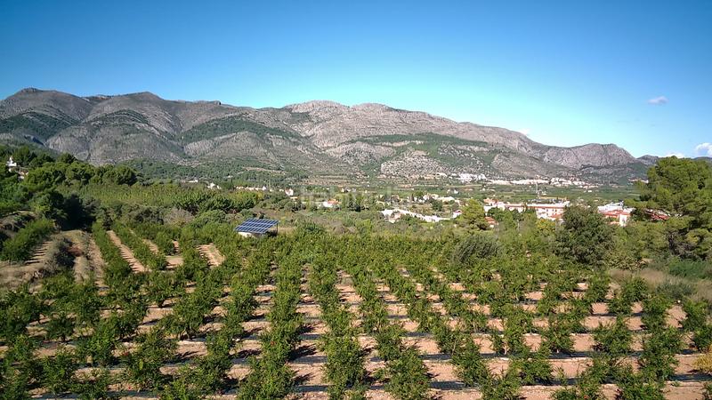 Foto c87f4db9-0818-4a1a-842f-ed927d948915. Terreny residencial a Calles