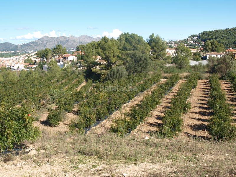 Foto cbf68207-cb50-4d8c-b791-255ea1a9f456. Terreny residencial a Calles