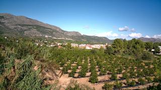 Terreny residencial a Calles