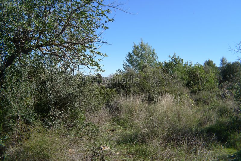 Foto 606c77d1-aff2-40c1-b152-f690fe2b0169. Terreny residencial a Xaló