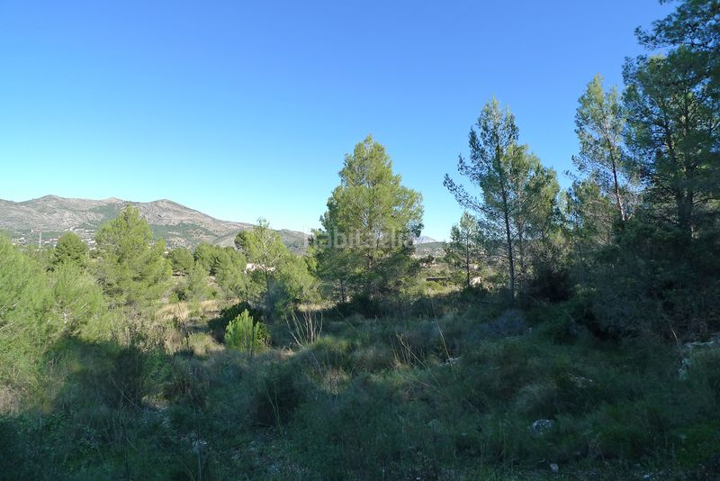 Foto 67e451be-3f40-4214-8ea4-4dc969ebaf4c. Terreny residencial a Xaló