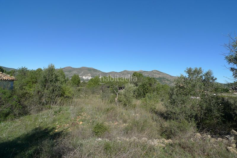 Foto df94ef2d-97e7-4705-b9bd-179e3617b01a. Terreny residencial a Xaló