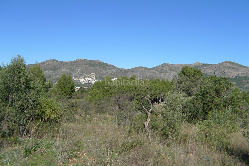 Foto e0e21447-34fa-4aa7-88d9-14365115f0ae. Terreny residencial a Xaló