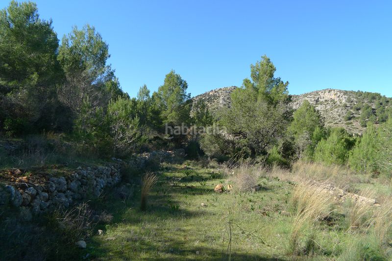 Foto f731c93d-a887-4e77-9673-7024cf0ff9ad. Terreny residencial a Xaló