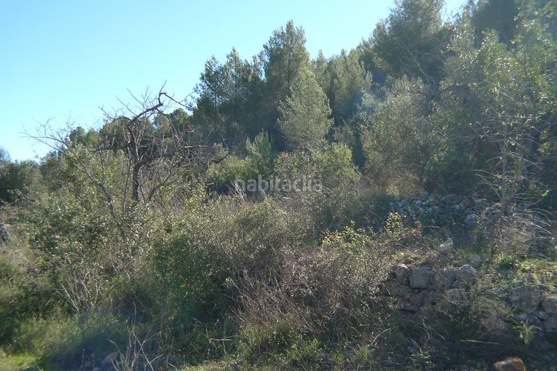 Foto fc3081b5-455d-4af6-a869-0c1e3039f45c. Terreny residencial a Xaló