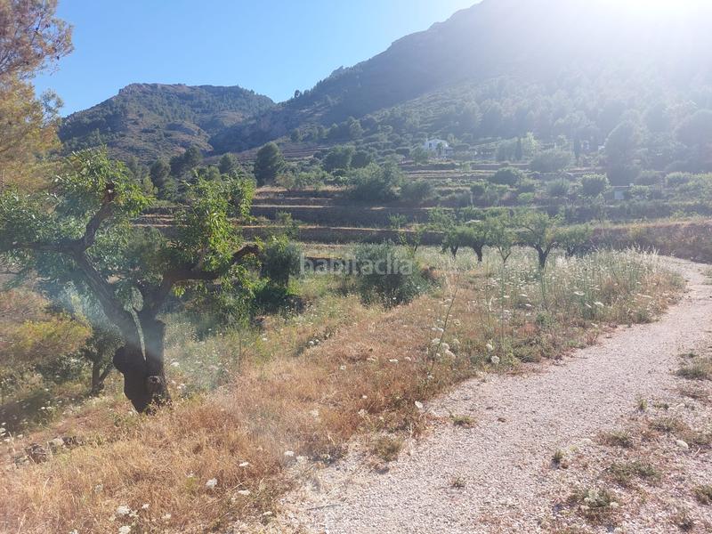 Foto 53741037-59ee-4646-99f8-6894706f3f24. Terreno residencial en Xaló