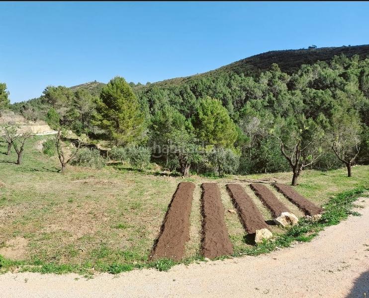 Foto bca9bac6-ee6a-4b66-b535-95f049d1c4ff. Terreno residencial en Xaló