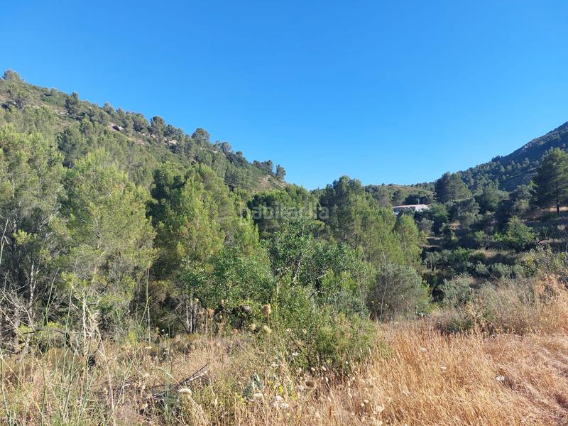 Foto f55cdced-28c2-40a8-b9db-83be1c99e1df. Terreno residencial en Xaló