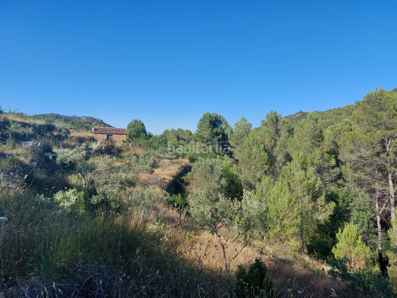 Foto 7247f898-f1a5-42e6-ac63-f79d7e4fb46f. Wohngrundstück in Xaló