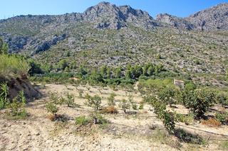 Terreno residenziale in Beniarbeig
