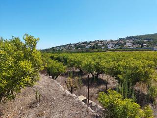 Terreny residencial a Orba