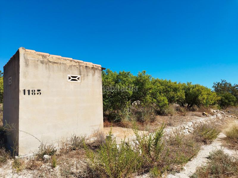 Foto 699e7fed-4c6e-4582-988c-059597666dd5. Terreny residencial a Orba