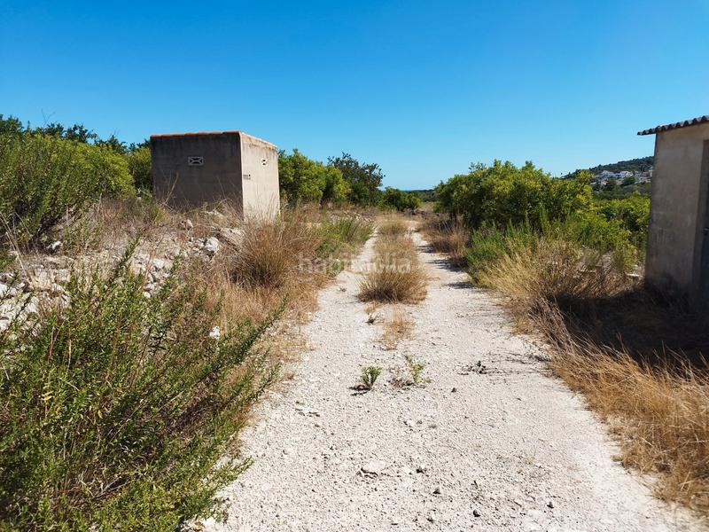 Foto f949ff07-a1f7-4437-a913-0243f48c53a0. Terreny residencial a Orba