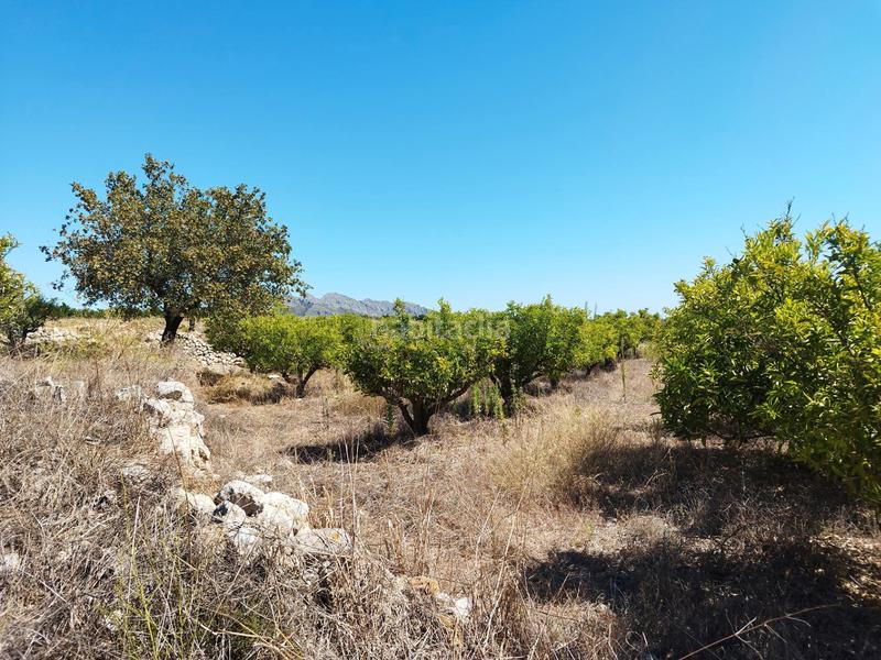 Foto 773f5020-cc2a-43f1-aba1-e333804f3b5b. Wohngrundstück in Orba