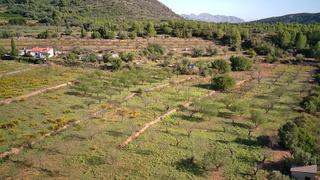 Terreny residencial a Murla