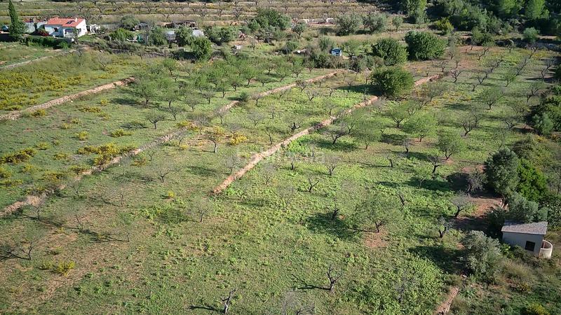 Foto e61f0688-88de-4759-97f9-41a53aaf263e. Terreno residenziale in Murla