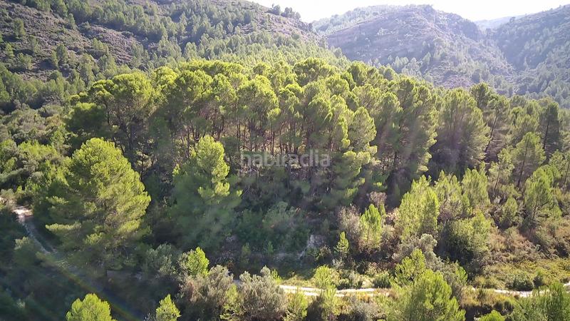 Foto e4b9e746-8da8-42f4-9c8c-b38f3590d9c0. Terreno residencial en Orba