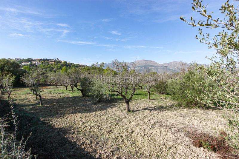 Foto 728a6959-d33d-4372-a5e2-240b9fd56338. Terreno residencial en Orba